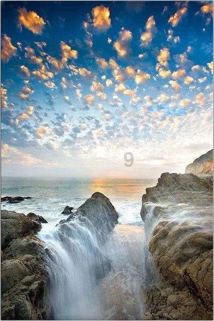 女生三十七岁生日 给自己买什么花？游戏画面